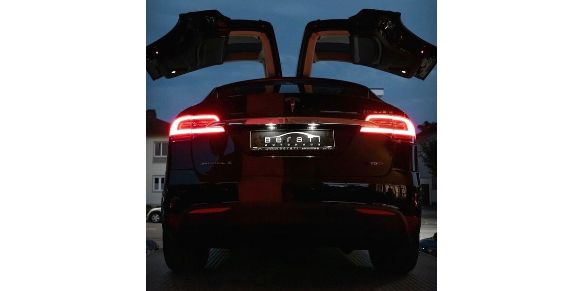 Tesla Model X 76.000 km 54.900 &euro; Ludwigshafen 67063