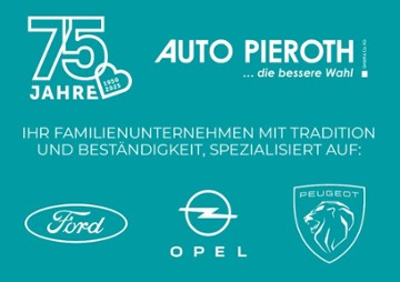 Gebrauchte Ford Tourneo Custom