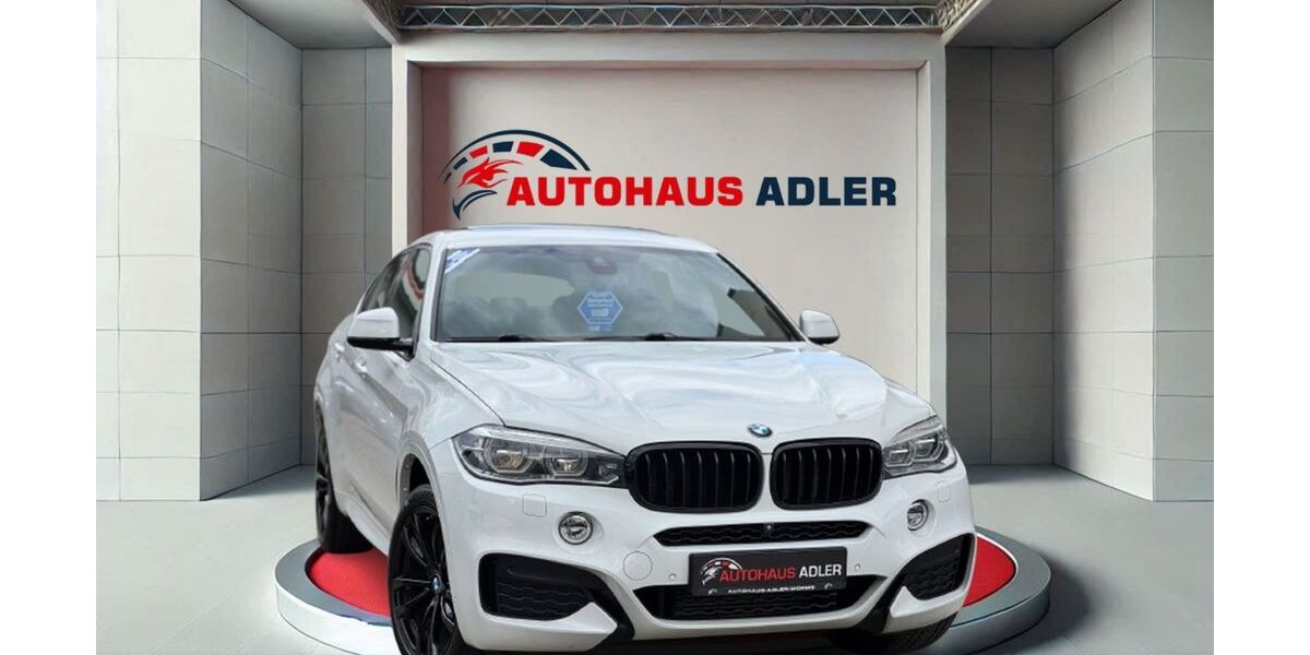 BMW X6 140.000 km 33.990 &euro; Worms 67549