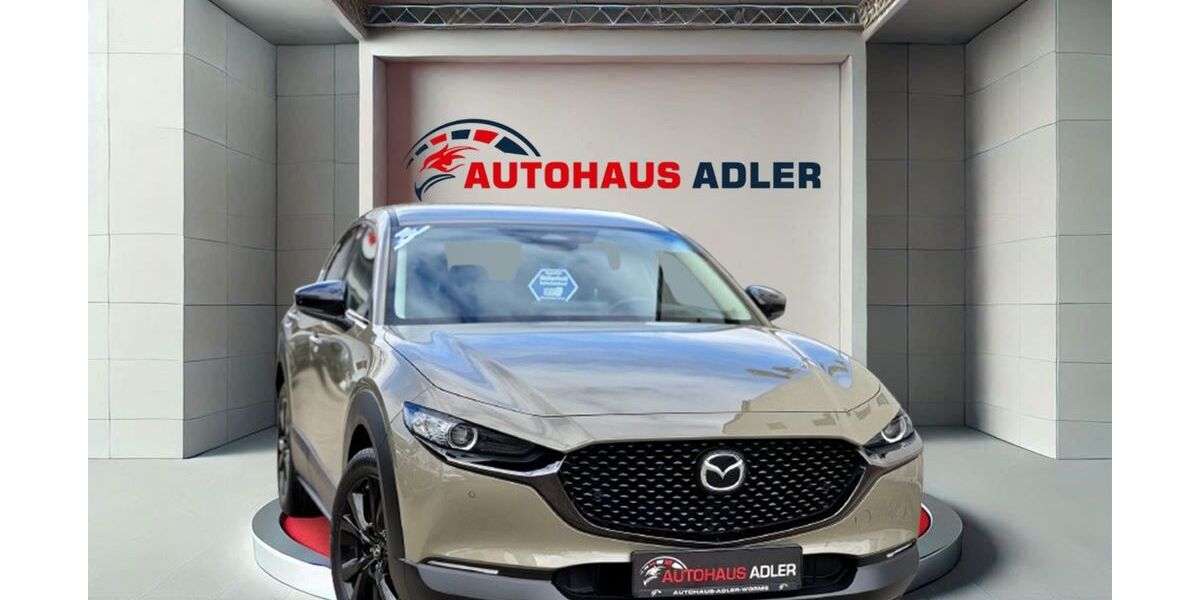 Mazda CX-30 8.855 km 27.990 &euro; Worms 67549