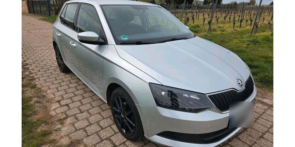 Skoda Fabia 109.000 km 6.500 &euro; Kettenheim 55234