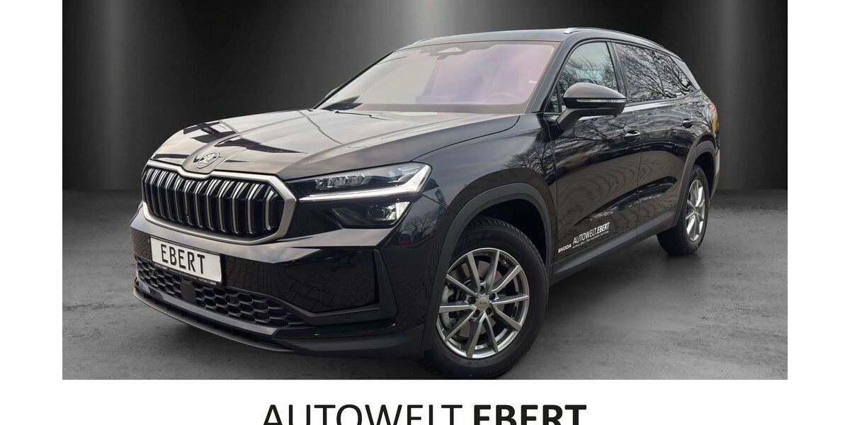Skoda Kodiaq 7.490 km 57.990 &euro; Weinheim 69469