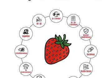 Fiat Freemont 59.875 km 16.490 &euro; Mannheim 68219