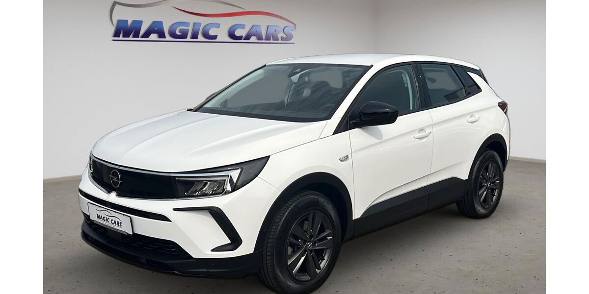 Opel Grandland (X) 48.000 km 21.590 &euro; Worms 67547