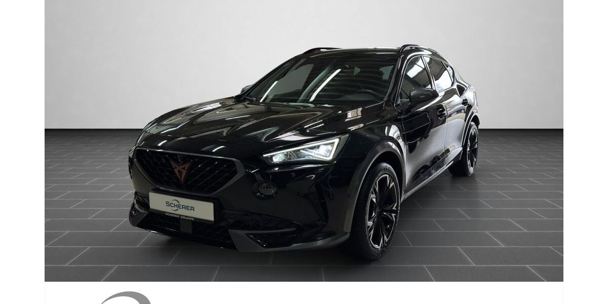 Cupra Formentor 69.902 km 25.250 &euro; Ludwigshafen 67063