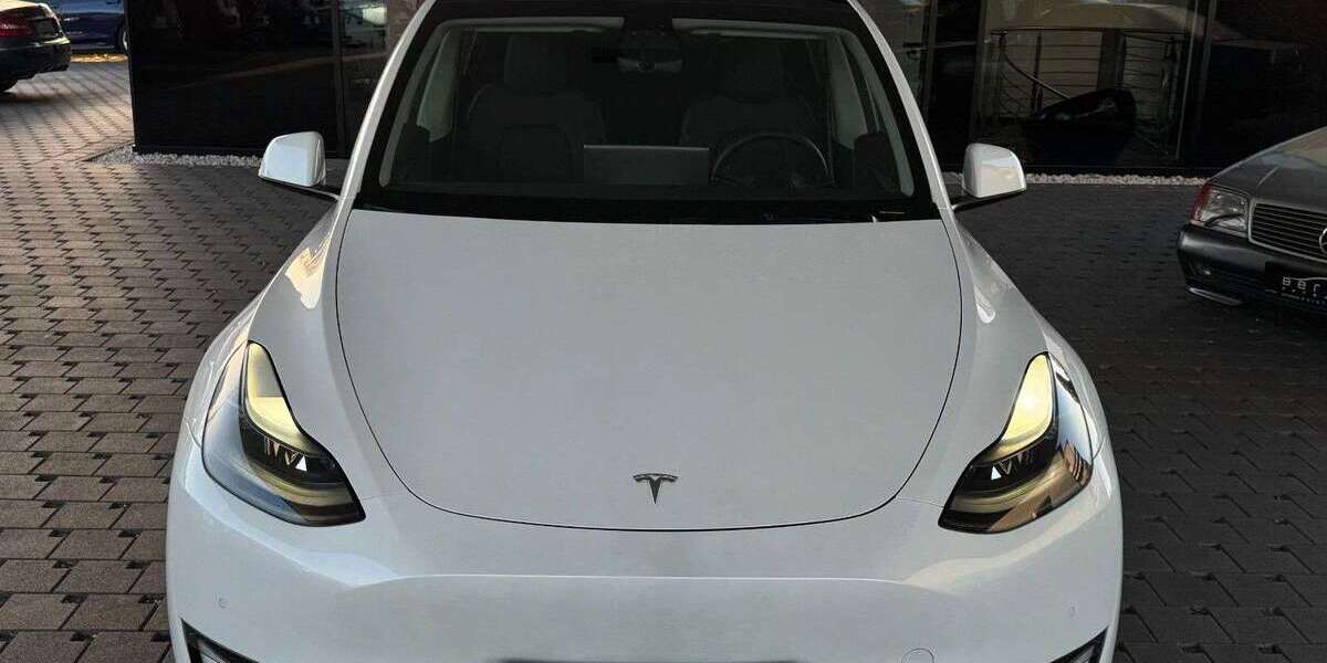 Tesla Model Y 106.000 km 34.900 &euro; Ludwigshafen 67063