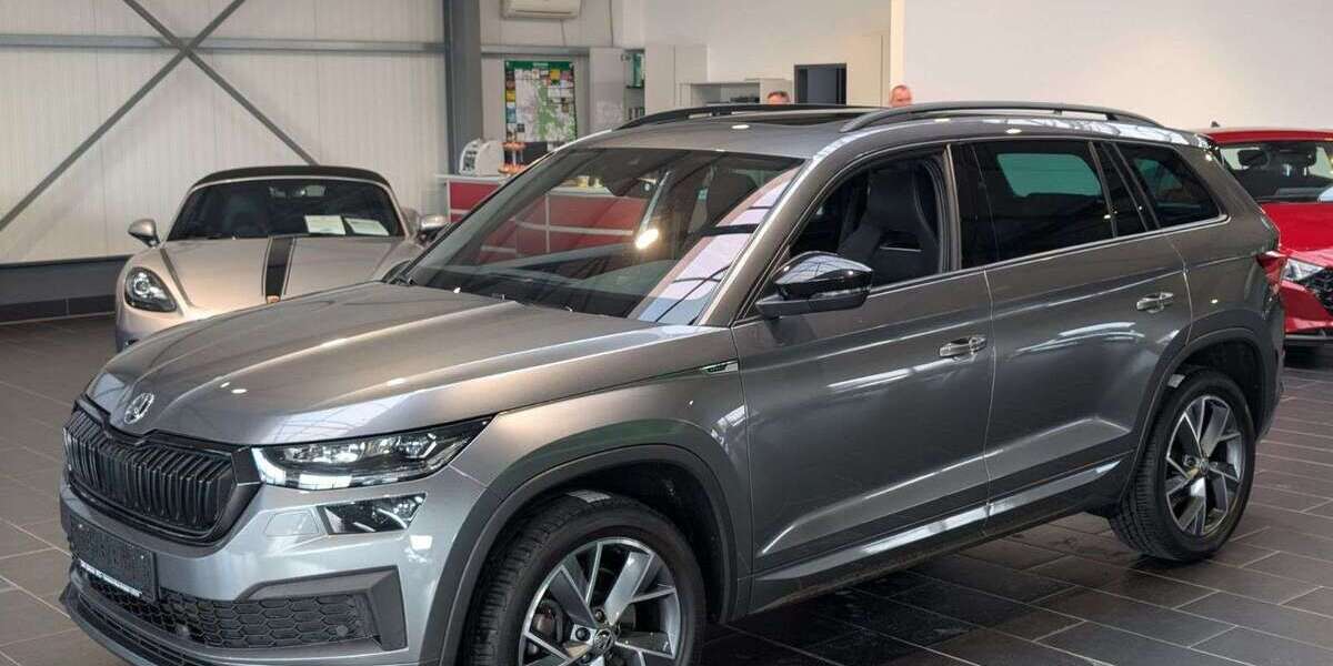 Skoda Kodiaq 81.000 km 35.900 &euro; Weinheim 69469