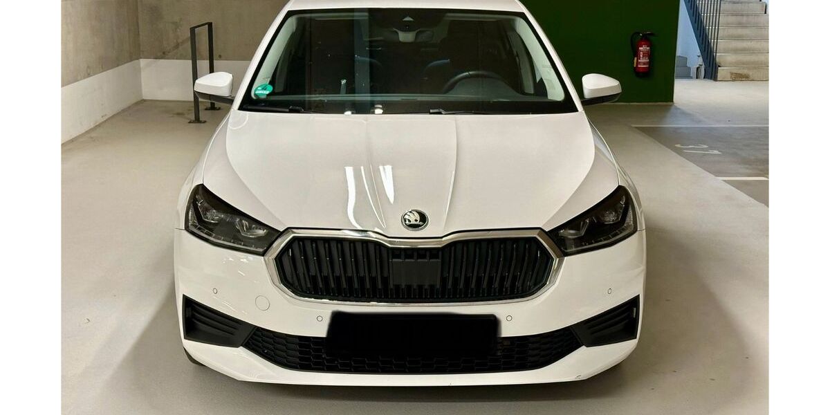 Skoda Fabia 40.695 km 14.999 &euro; Hirschberg a. d. Bergstraße 69493