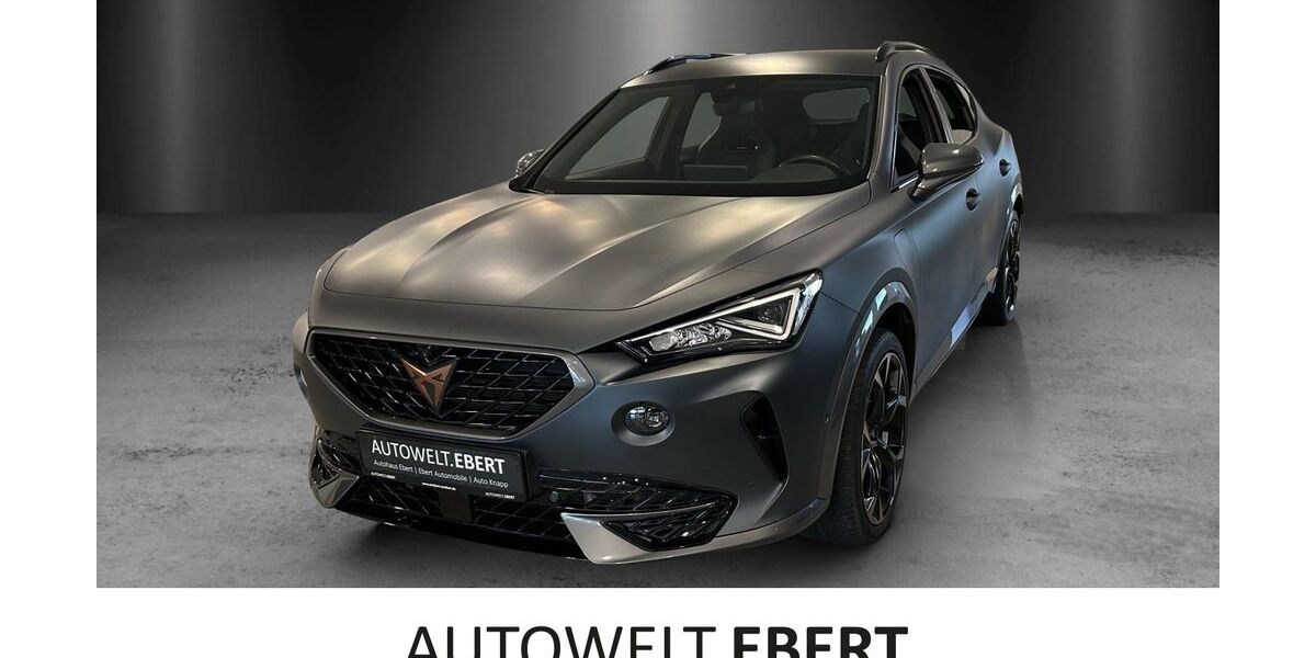 Cupra Formentor 40.390 km 27.990 &euro; Weinheim 69469