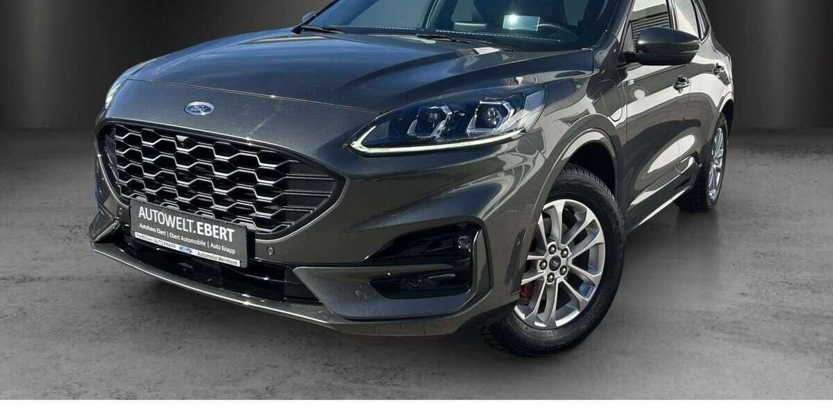 Ford Kuga 21.490 km 24.890 &euro; Frankenthal 67227