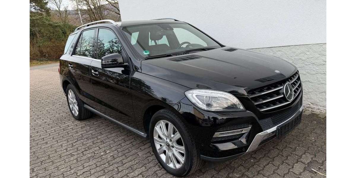 Mercedes-Benz ML 350 170.400 km 21.900 &euro; Alsbach 64665