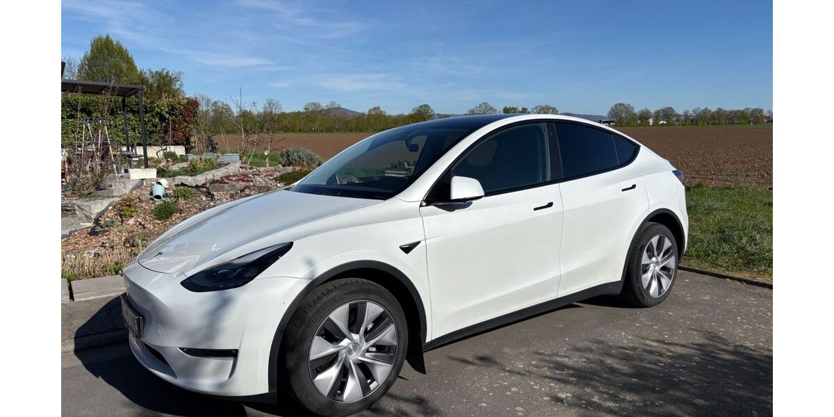 Tesla Model Y 77.500 km 33.000 &euro; Gernsheim 64579