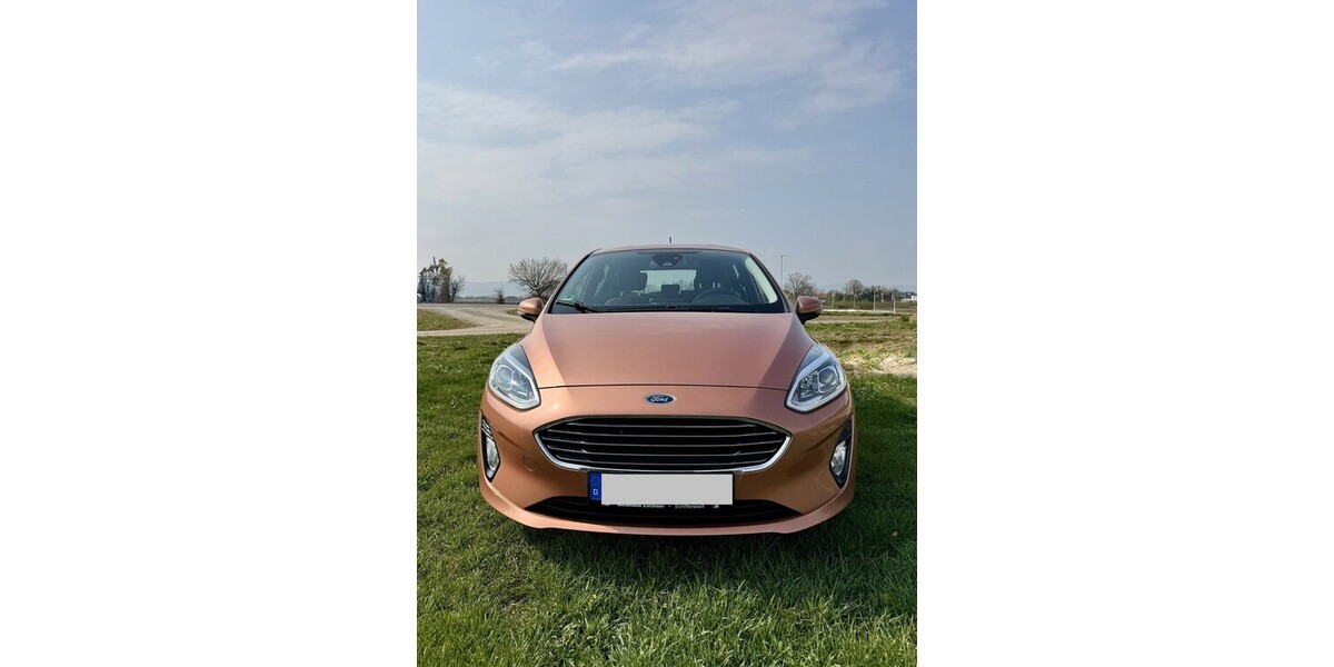 Ford Fiesta 100.605 km 12.870 &euro; Böhl-Iggelheim 67459