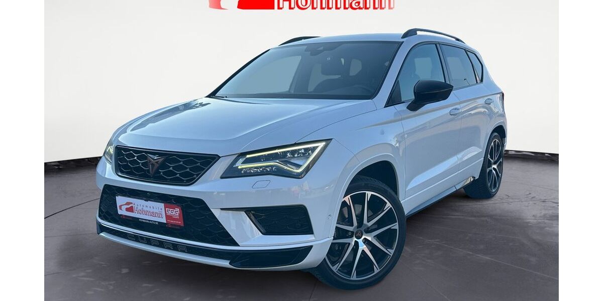 Cupra Ateca 87.505 km 23.480 &euro; Brühl 68782