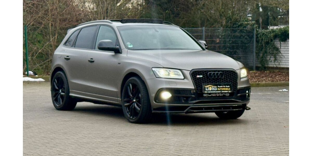Audi SQ5 229.000 km 18.490 &euro; Lampertheim 68623