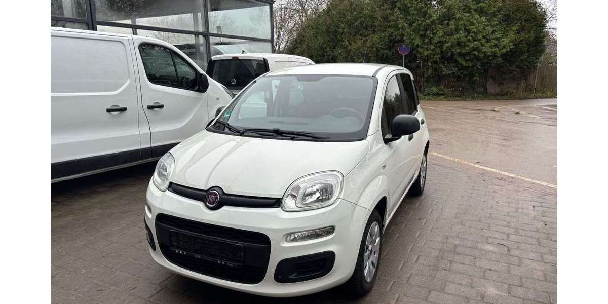 Fiat Panda 55.980 km 7.490 &euro; Frankenthal, Pfalz 67227