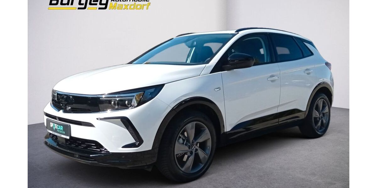 Opel Grandland (X) 6.600 km 25.980 &euro; Maxdorf 67133