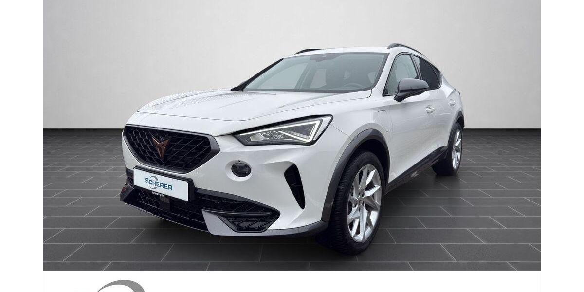 Cupra Formentor 28.061 km 24.200 &euro; Ludwigshafen 67063