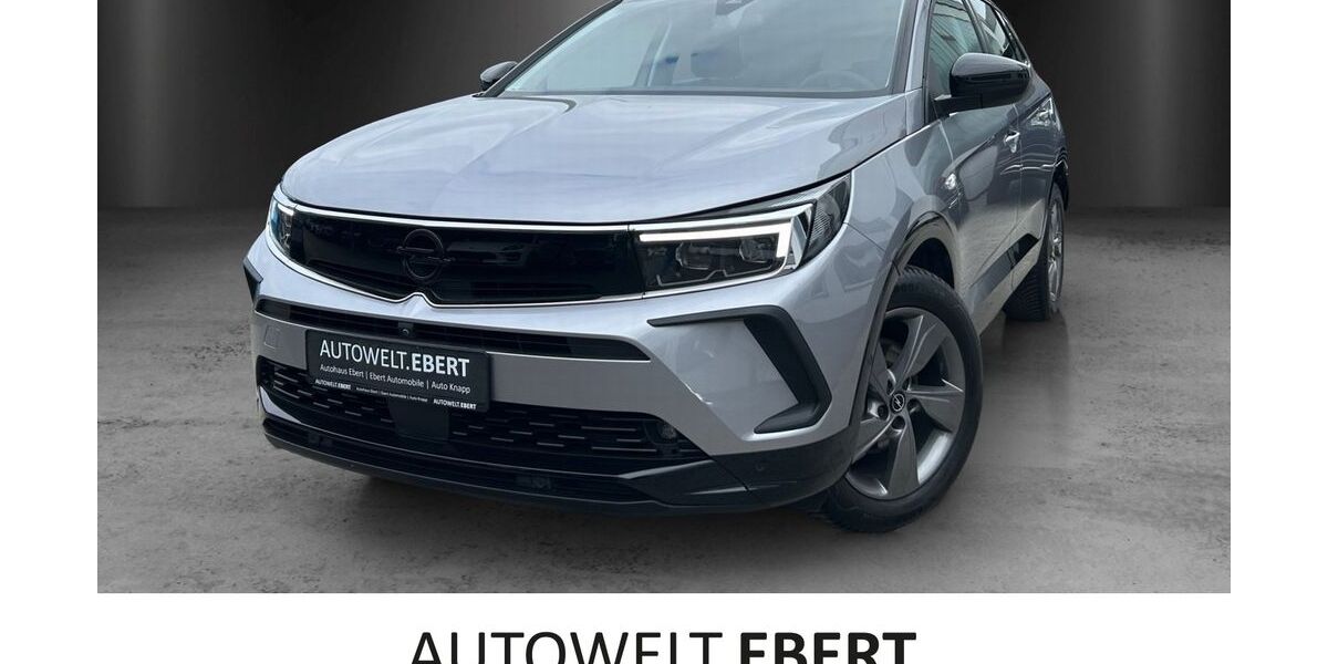 Opel Grandland (X) 9.300 km 24.890 &euro; Bensheim 64625