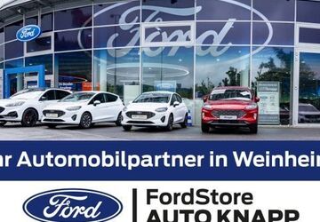 Ford Tourneo Custom 54.990 km 41.890 &euro; Weinheim 69469