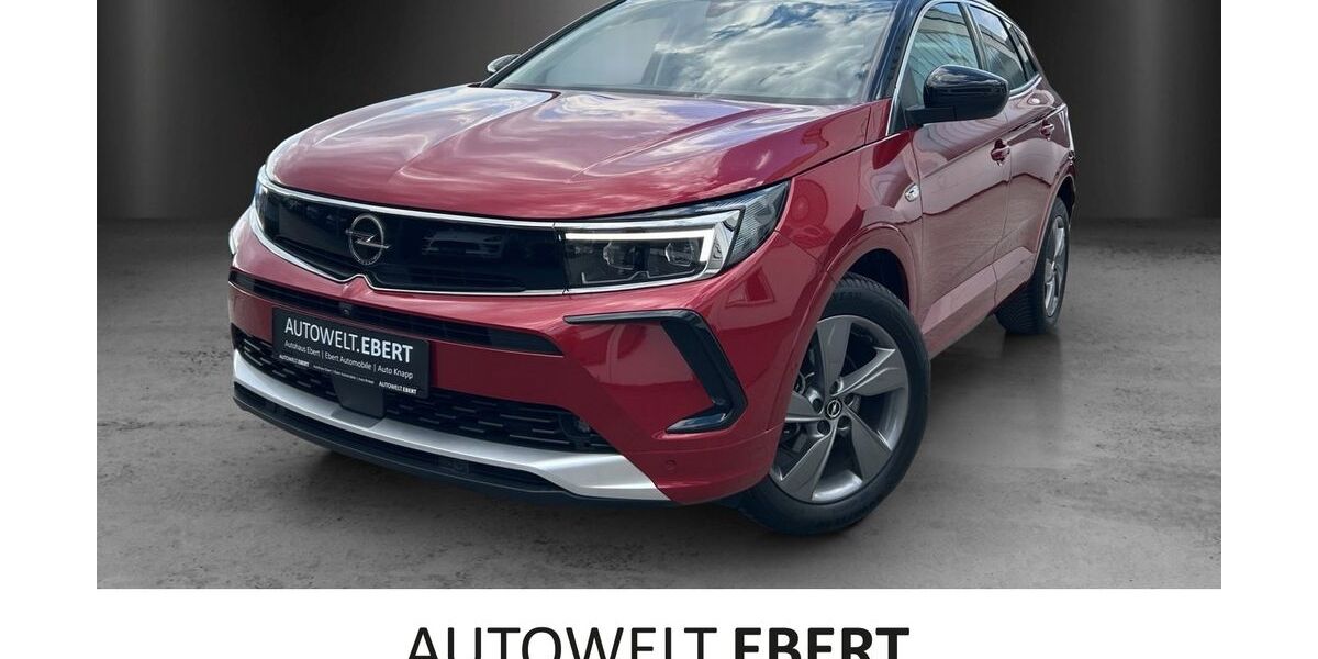 Opel Grandland (X) 21.900 km 24.690 &euro; Bensheim 64625