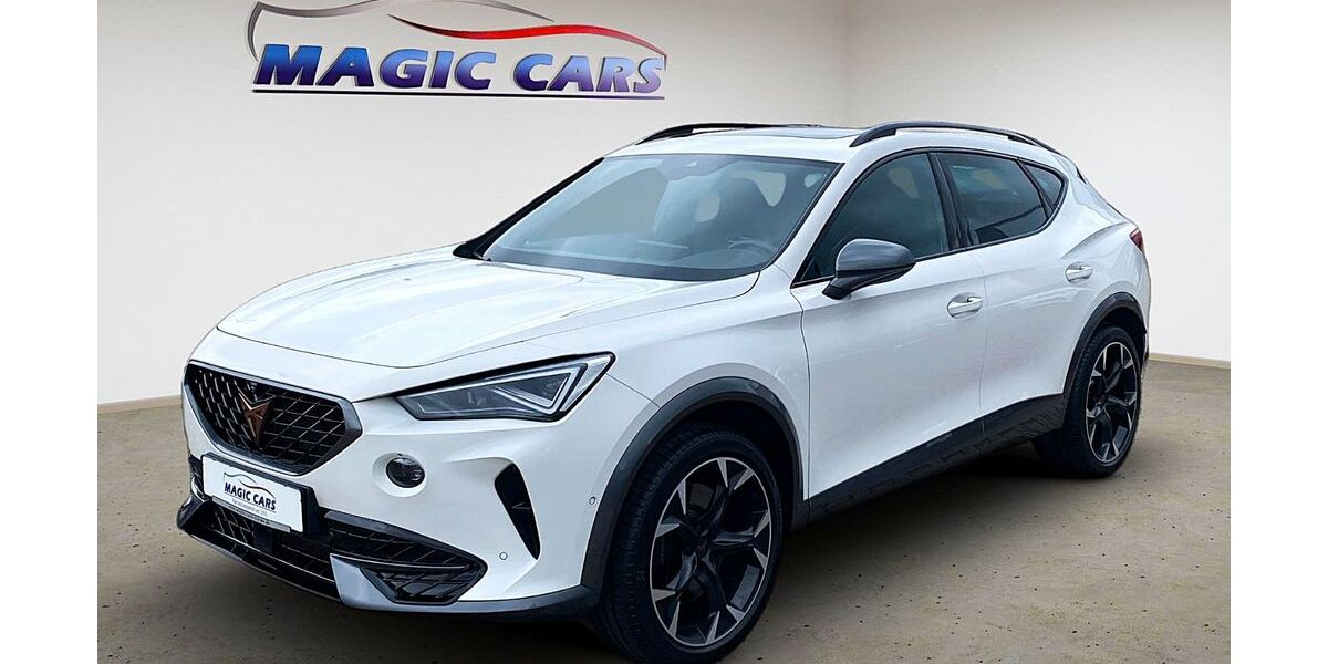 Cupra Formentor 20.000 km 32.900 &euro; Worms 67547