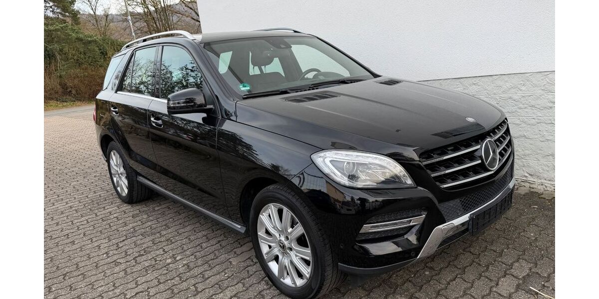 Mercedes-Benz ML 350 170.400 km 21.900 &euro; Alsbach 64665