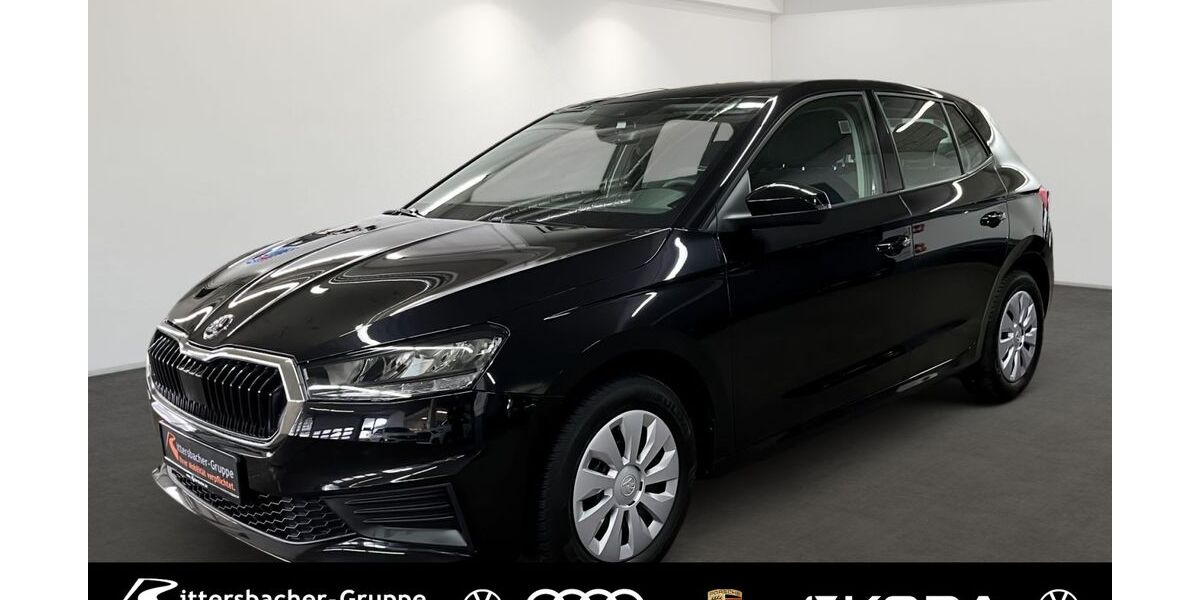 Skoda Fabia 32.189 km 14.680 &euro; Grünstadt 67269