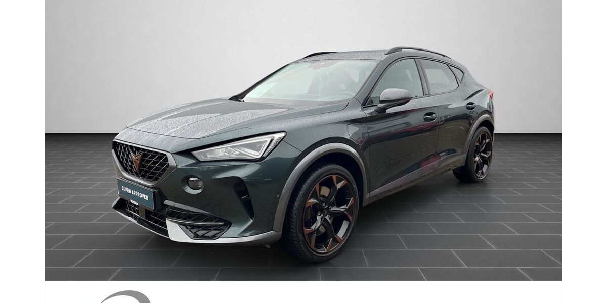 Cupra Formentor 54.771 km 27.200 &euro; Ladenburg 68526