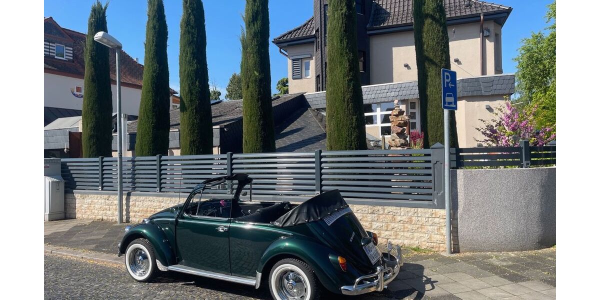 VW Käfer 58.000 km 17.900 &euro; Worms 67549