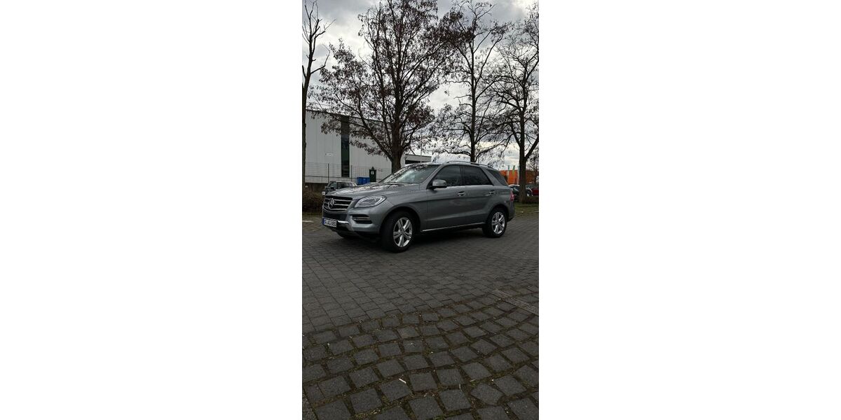 Mercedes-Benz ML 350 188.500 km 20.000 &euro; Altleiningen 67317