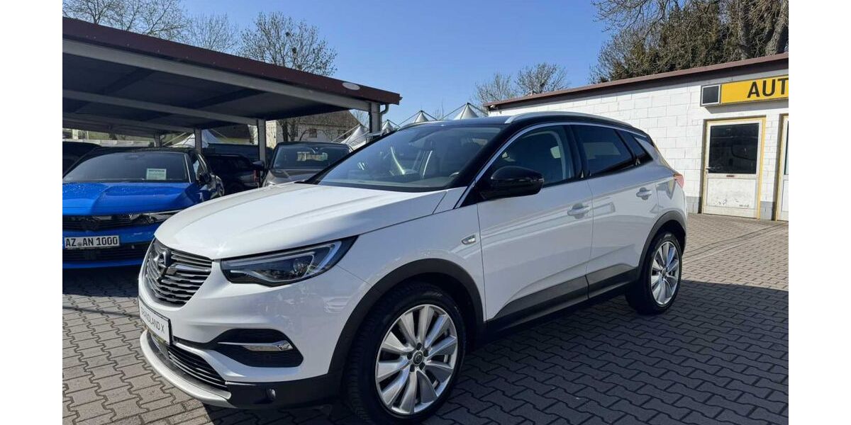 Opel Grandland (X) 100.000 km 16.250 &euro; Westhofen 67593
