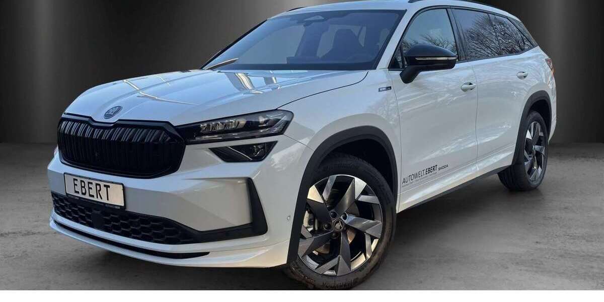 Skoda Kodiaq 4.999 km 52.980 &euro; Weinheim 69469