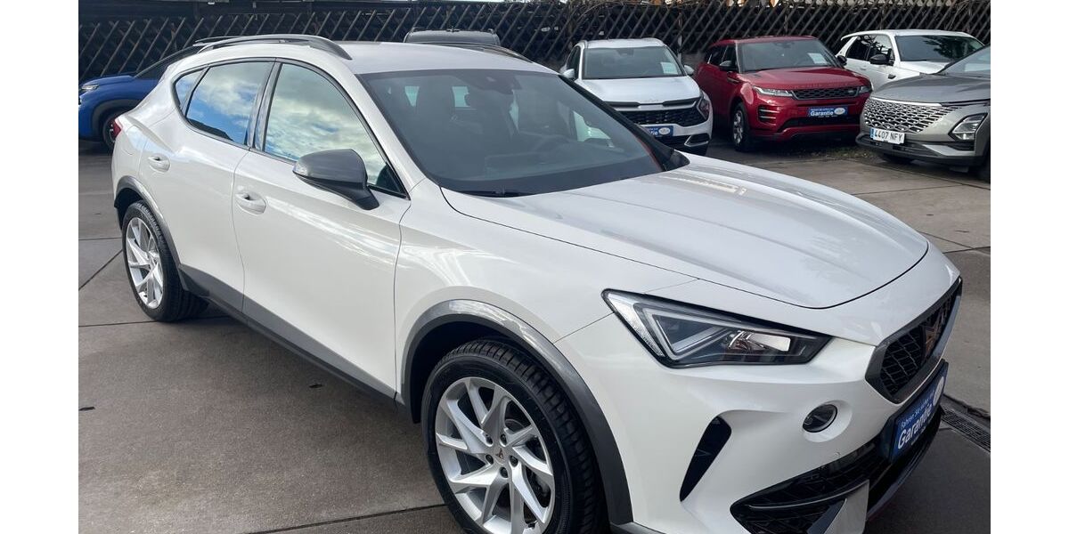 Cupra Formentor 57.000 km 21.900 &euro; Neuhofen 67141