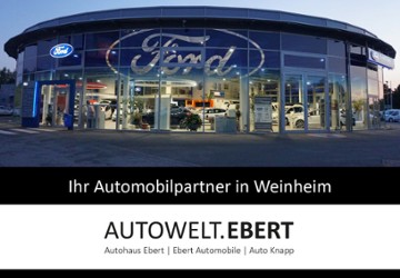 Ford Mustang Mach-E 17.531 km 61.990 &euro; Weinheim 69469