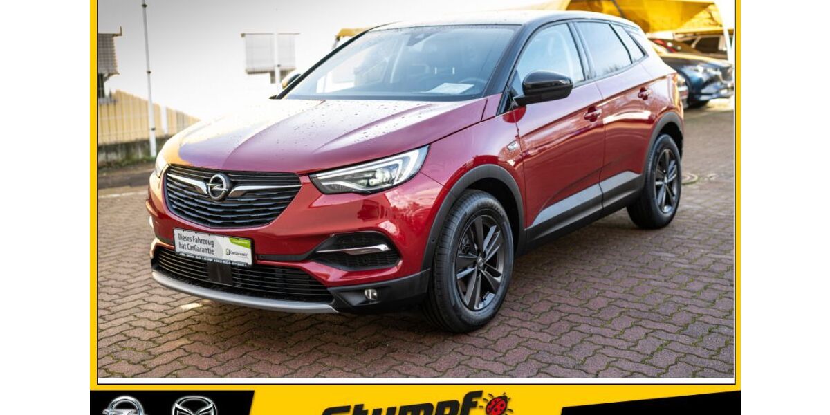 Opel Grandland (X) 76.610 km 17.994 &euro; Heppenheim 64646