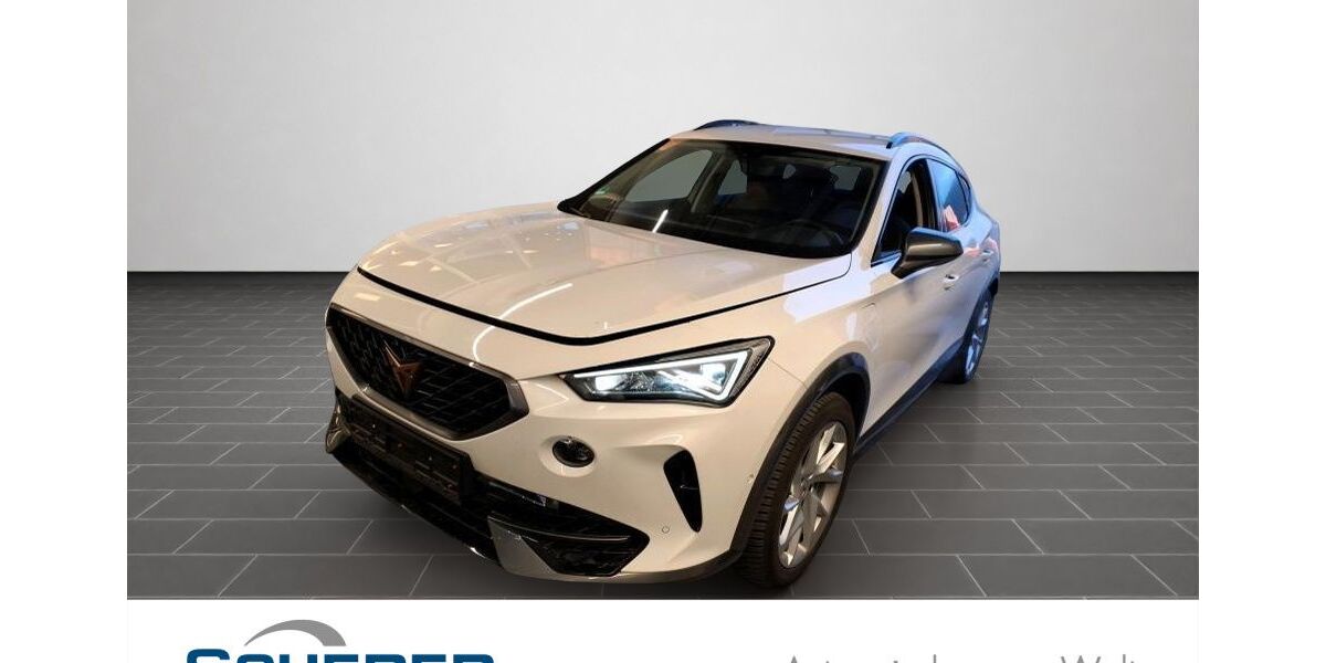 Cupra Formentor 37.033 km 25.800 &euro; Ladenburg 68526