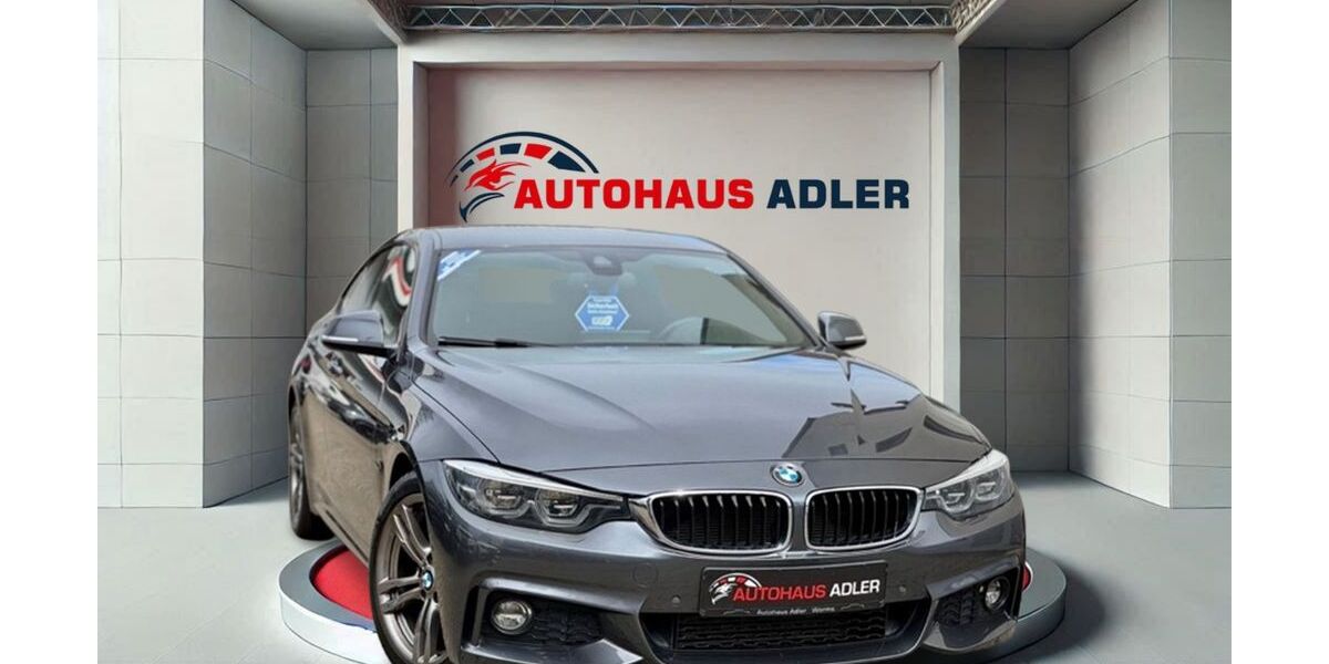 BMW 430 138.700 km 29.800 &euro; Worms 67549
