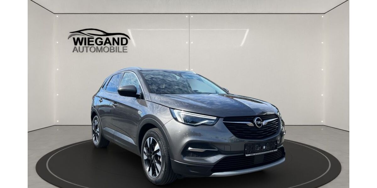 Opel Grandland (X) 26.000 km 20.790 &euro; Viernheim 68519