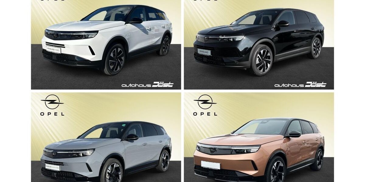 Opel Grandland (X) 5.900 km 43.950 &euro; Weinheim 69469