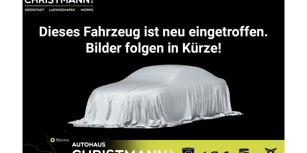 Cupra Formentor 38.500 km 26.990 &euro; Worms 67547