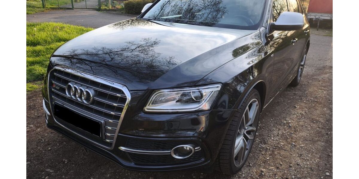 Audi SQ5 220.800 km 18.500 &euro; Brühl 68782