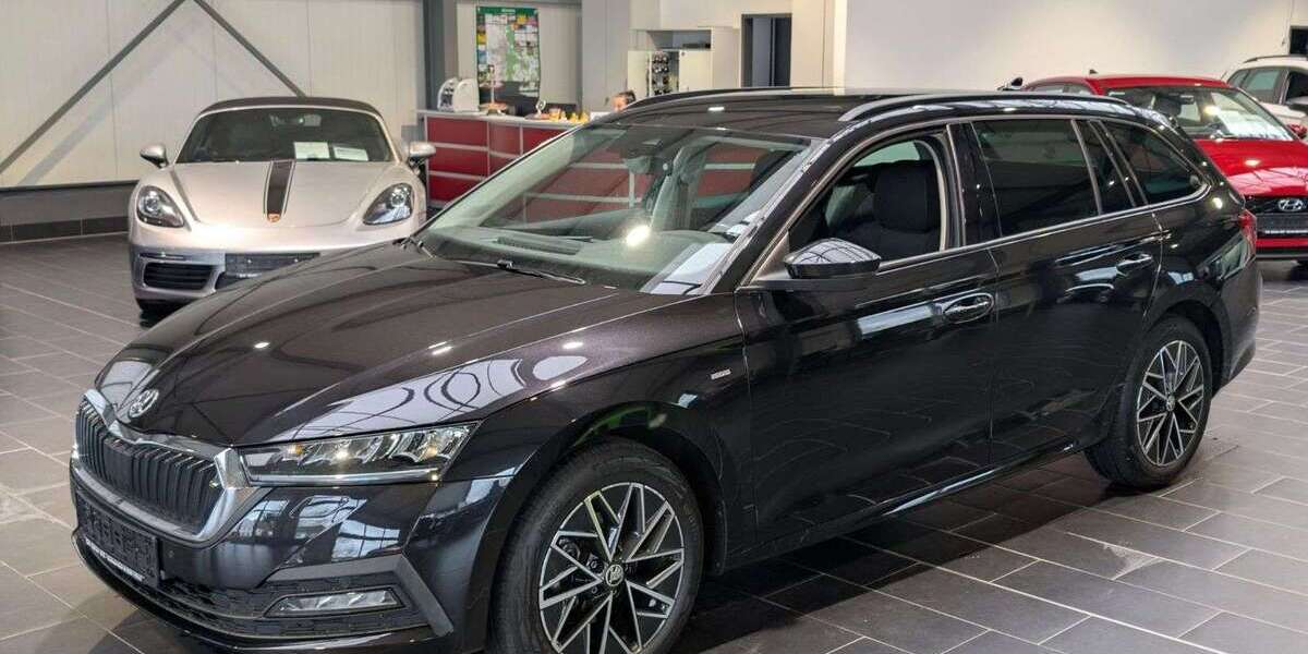 Skoda Octavia 110.000 km 20.900 &euro; Weinheim 69469