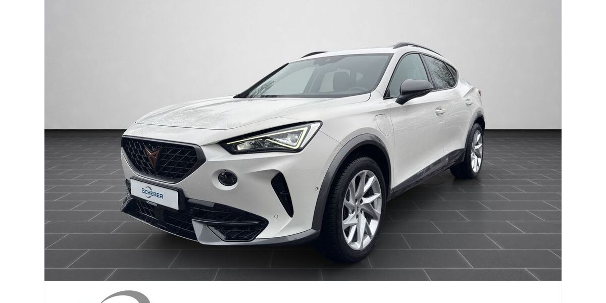 Cupra Formentor 33.133 km 24.290 &euro; Ludwigshafen 67063