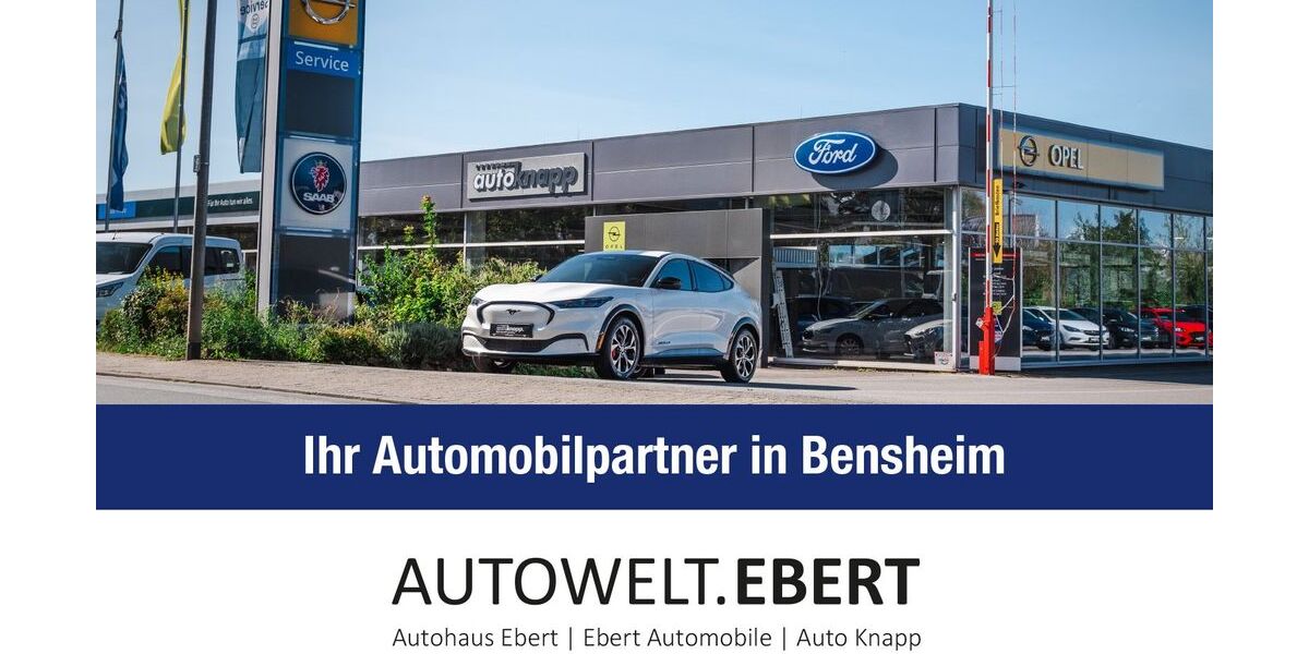 Ford Mustang Mach-E 65.990 km 27.890 &euro; Bensheim 64625